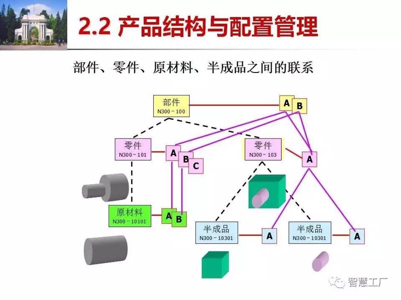 再生医学：开启生命修复新时代