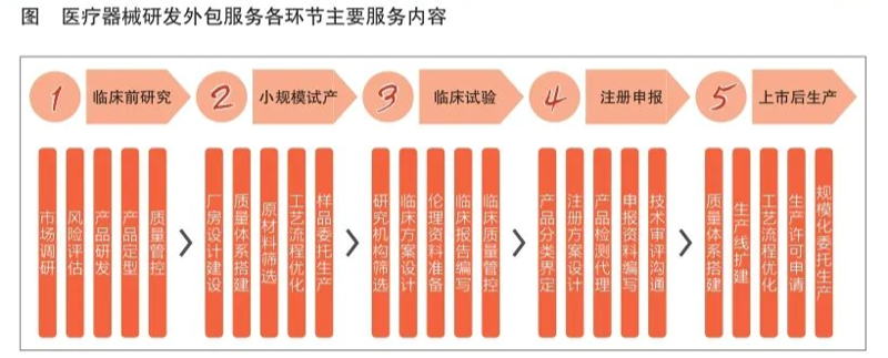 探索再生医学的新篇章：一场与时间赛跑的生命竞赛