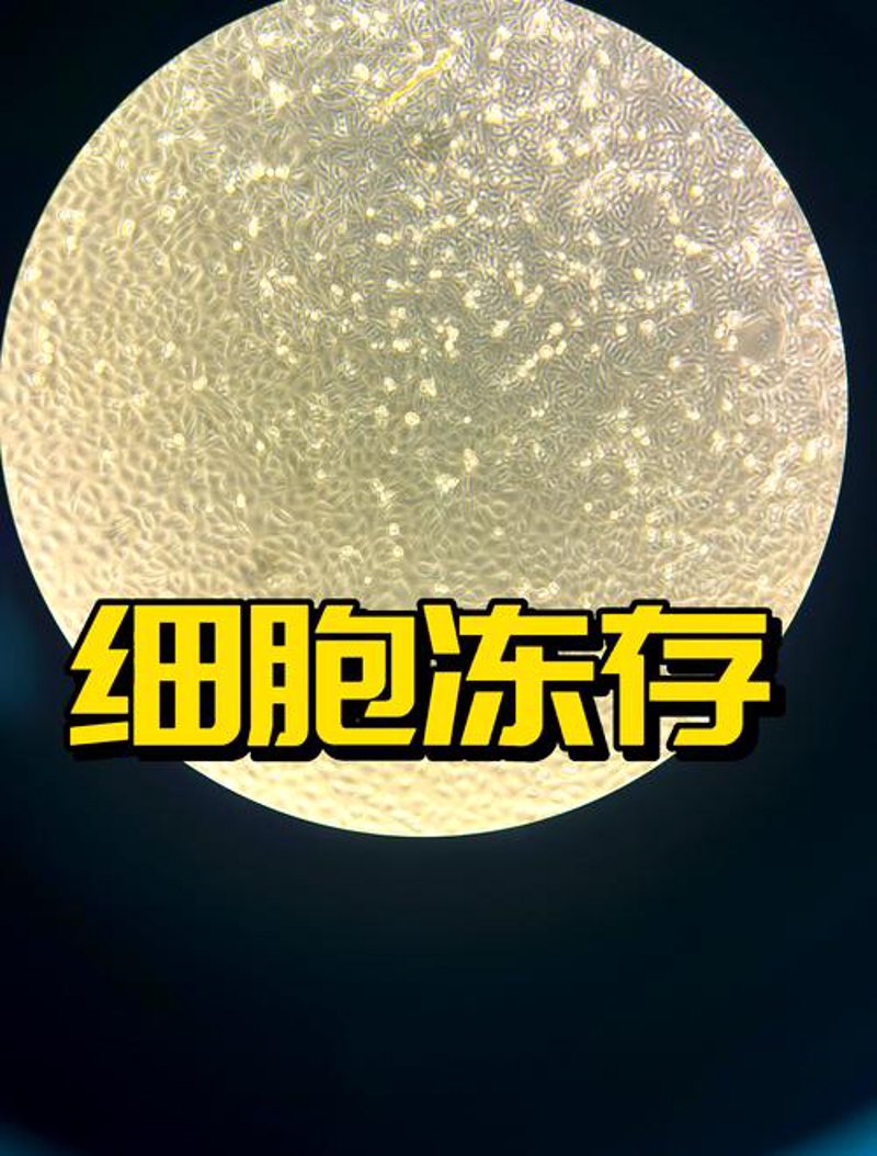 细胞储存：未来医疗的希望与挑战