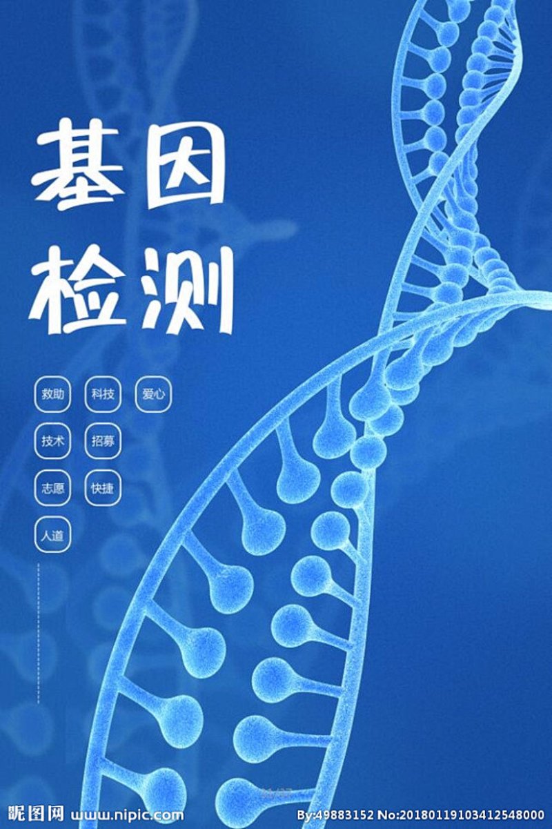 免疫细胞：守护健康的小卫士