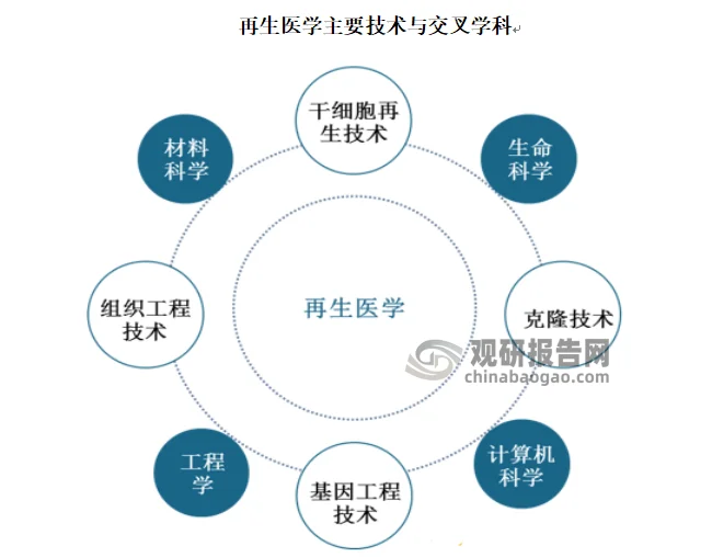 干细胞治疗：未来医疗的曙光